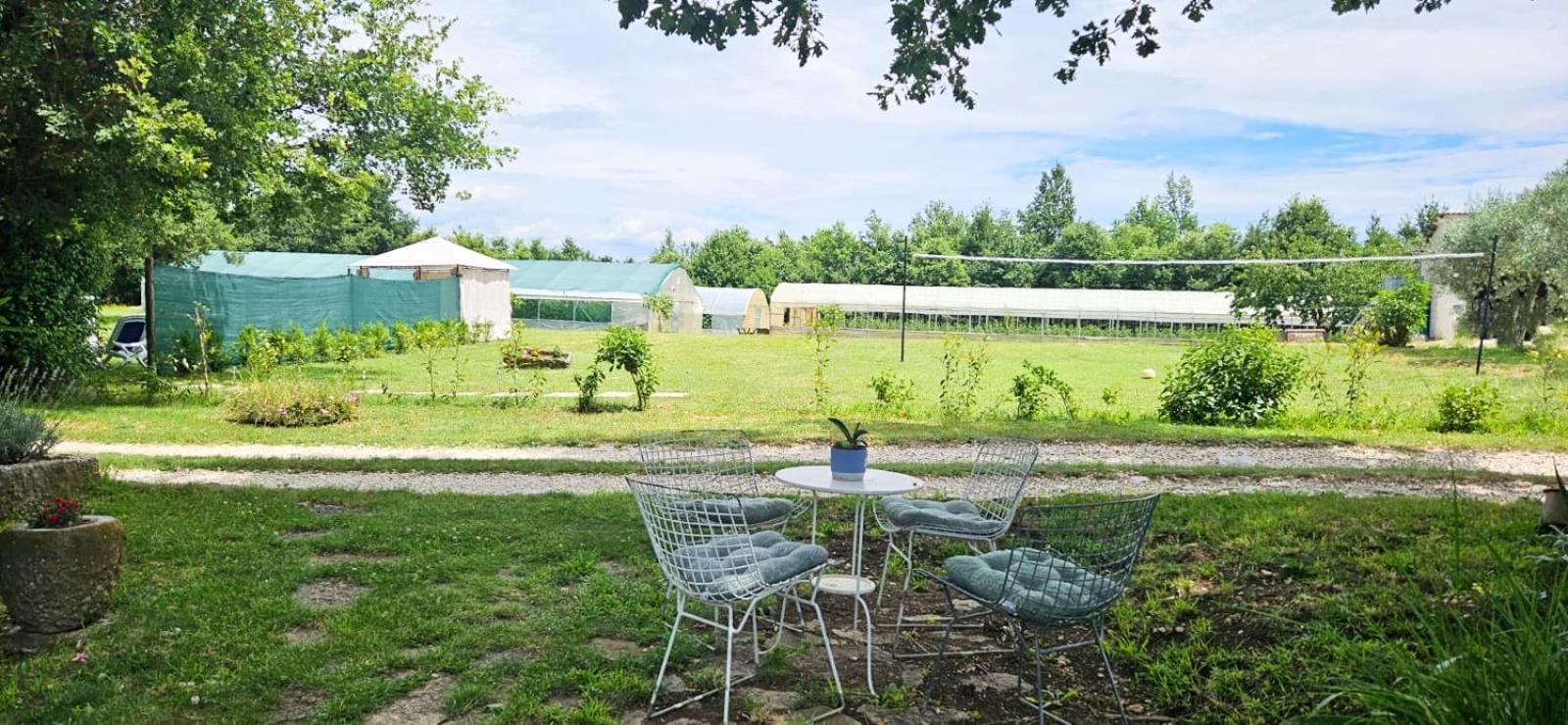 Holiday Apartment Arman Vižinada Zewnętrze zdjęcie